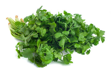 Similar image 19945340