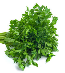 Similar image 19945341