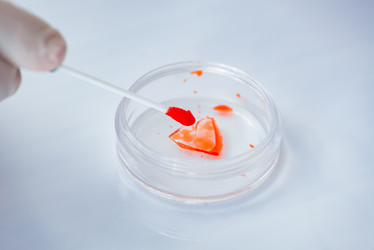 Similar image 20148820