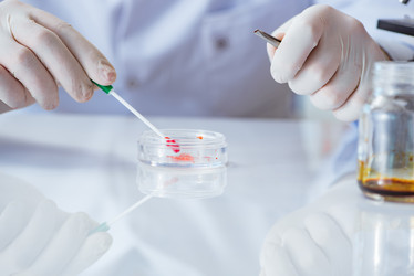 Similar image 20148824