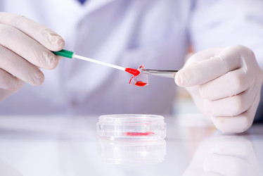 Similar image 20148849