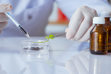 Similar image 20148882