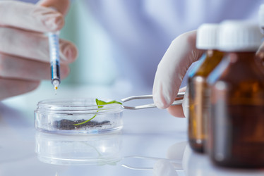 Similar image 20148900