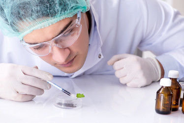 Similar image 20149003