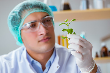 Similar image 20149006