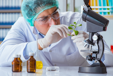 Similar image 20149021