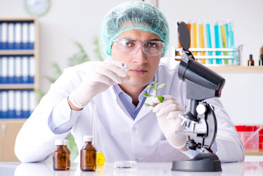 Similar image 20149040