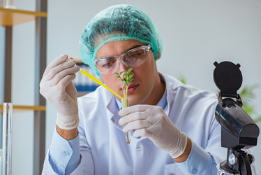 Similar image 20149083