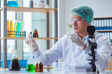 Similar image 20149091