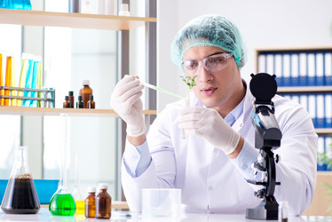 Similar image 20149099