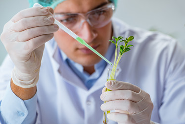 Similar image 20149114