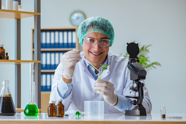 Similar image 20149117