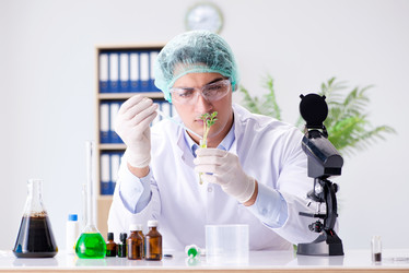 Similar image 20149131