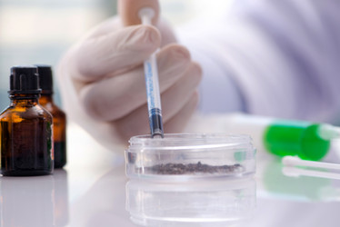 Similar image 20149224