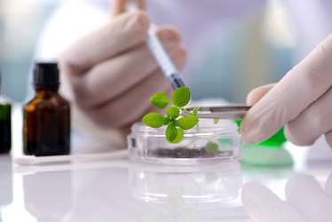 Similar image 20149226