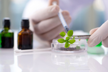 Similar image 20149231