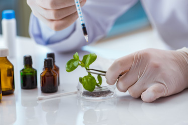 Similar image 20149259