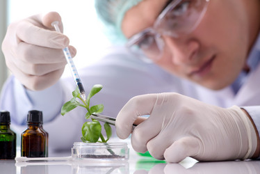 Similar image 20149262