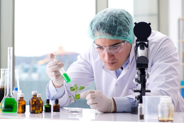 Similar image 20149271