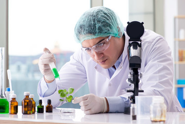 Similar image 20149272