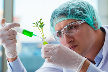 Similar image 20149278