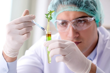 Similar image 20149310