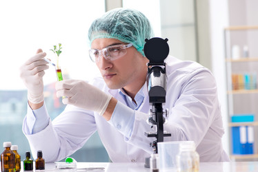 Similar image 20149313