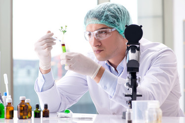 Similar image 20149316