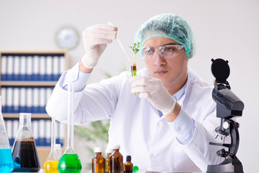 Similar image 20149332