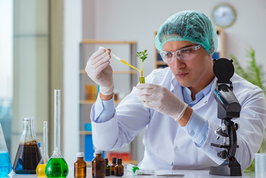 Similar image 20149335