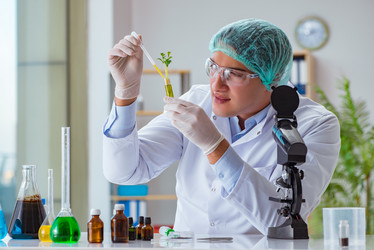 Similar image 20149336