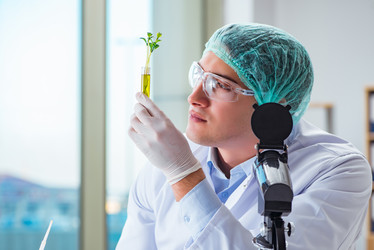 Similar image 20149338