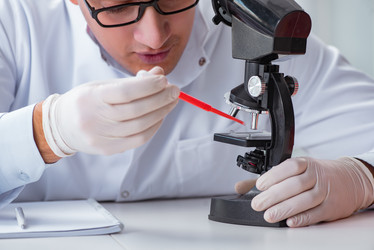 Similar image 20149457