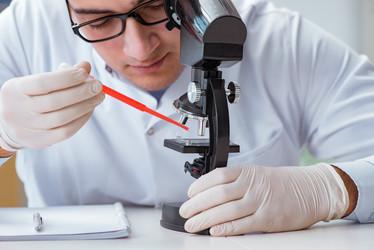 Similar image 20149458