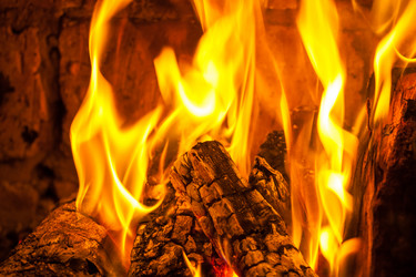 Similar image 19946695