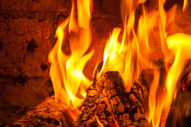 Similar image 19946696