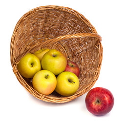 Similar image 19946586