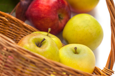 Similar image 19946587