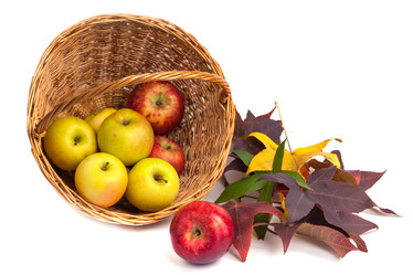 Similar image 19946606