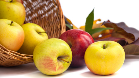 Similar image 19946632