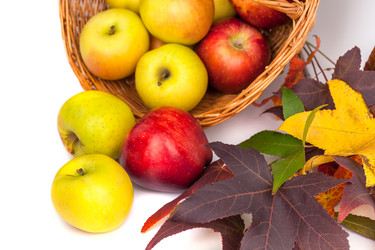 Similar image 19946633