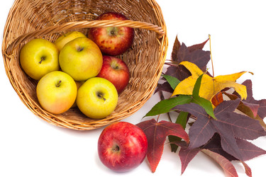 Similar image 19946675