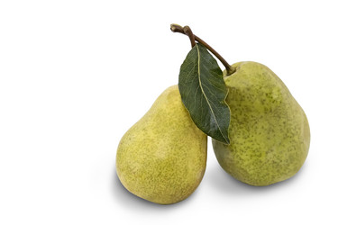 Similar image 20166785