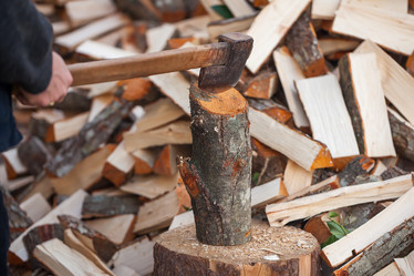 Similar image 19946753