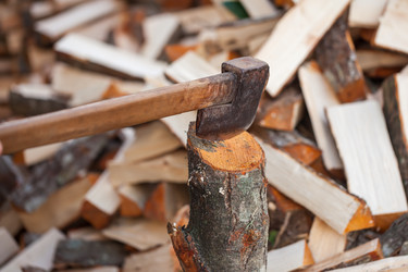 Similar image 19946779