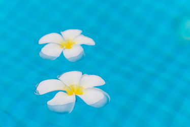 Similar image 19941575