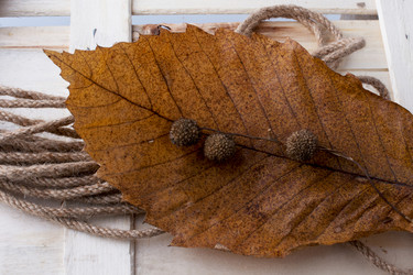 Similar image 20058532