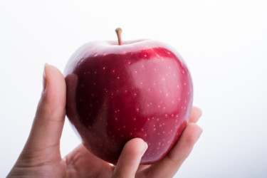 Similar image 20058499