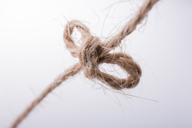 Similar image 20058501