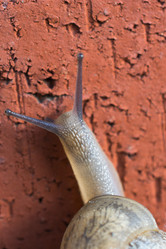 Similar image 20058557